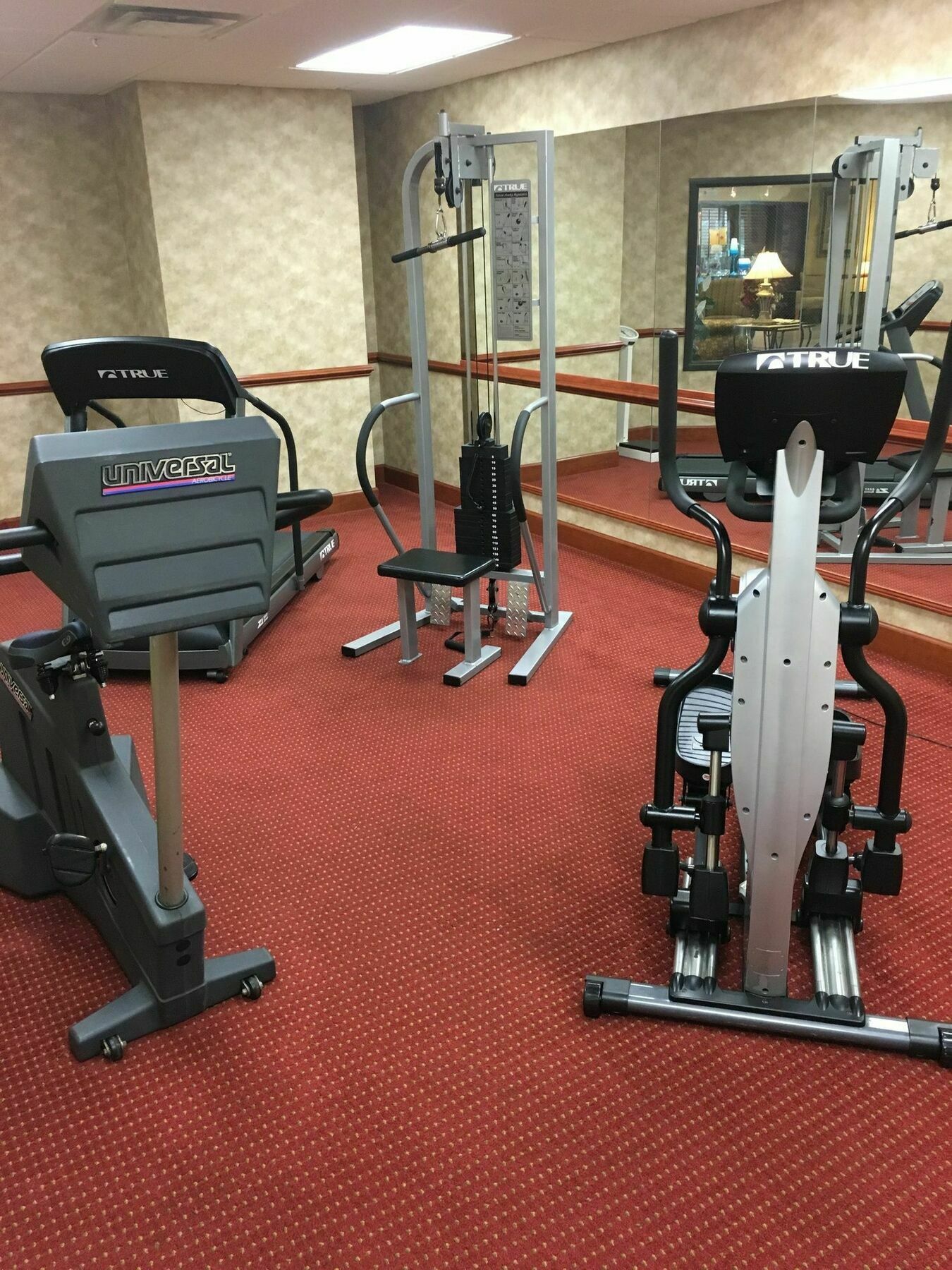 Best Western Plus St. Augustine I-95 מראה חיצוני תמונה